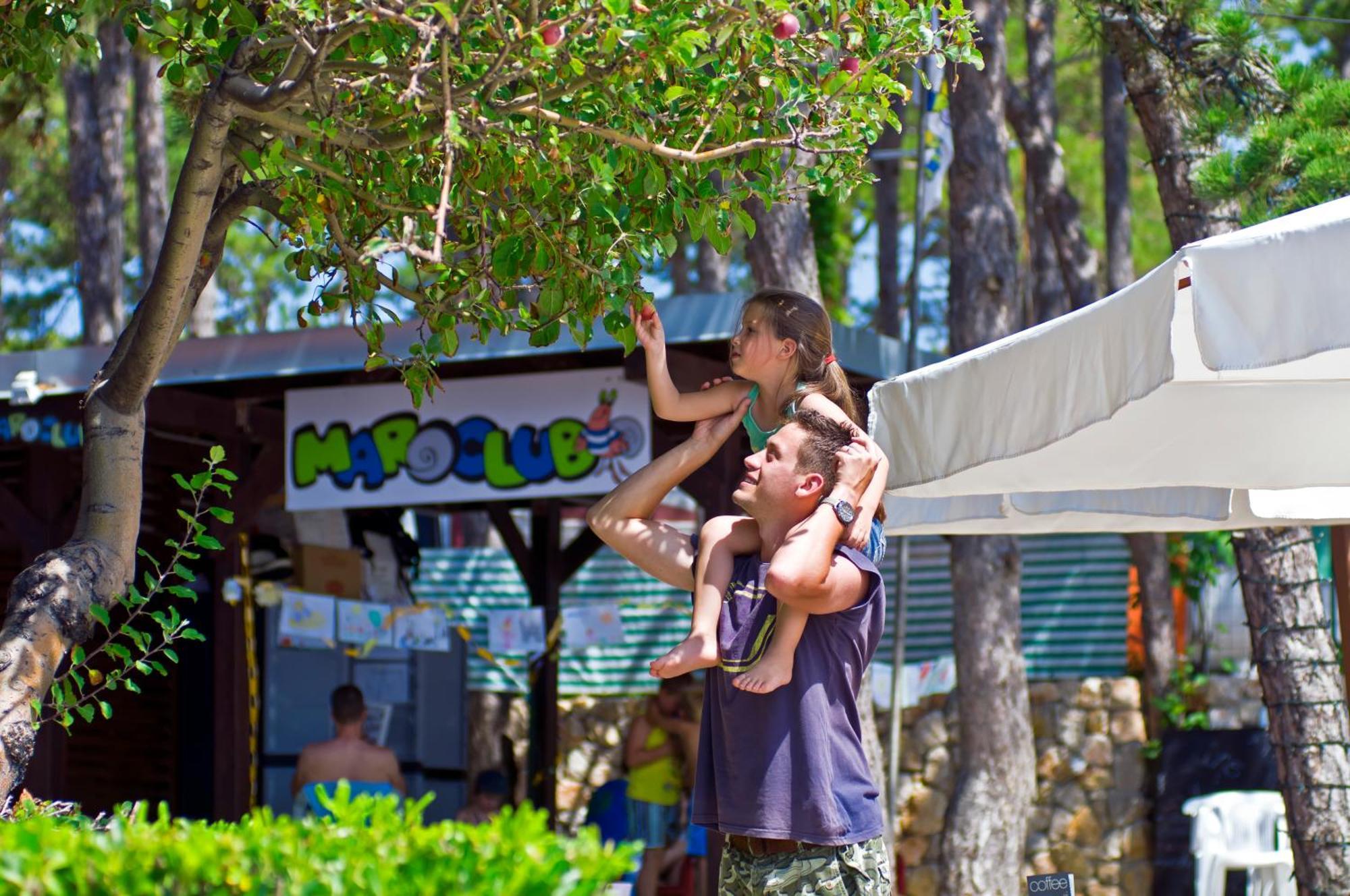 Valamar Camping Jezevac Krk Town Luaran gambar