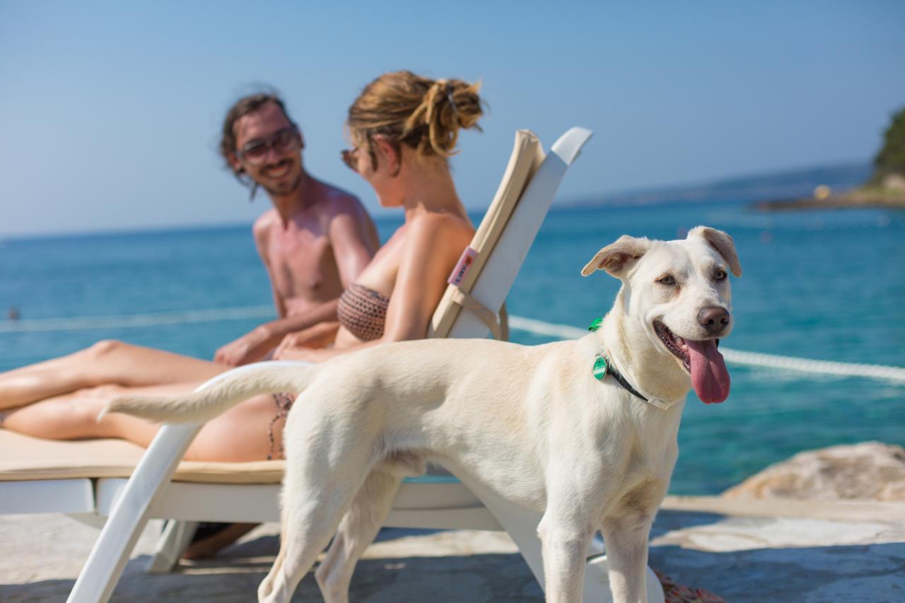 Valamar Camping Jezevac Krk Town Luaran gambar